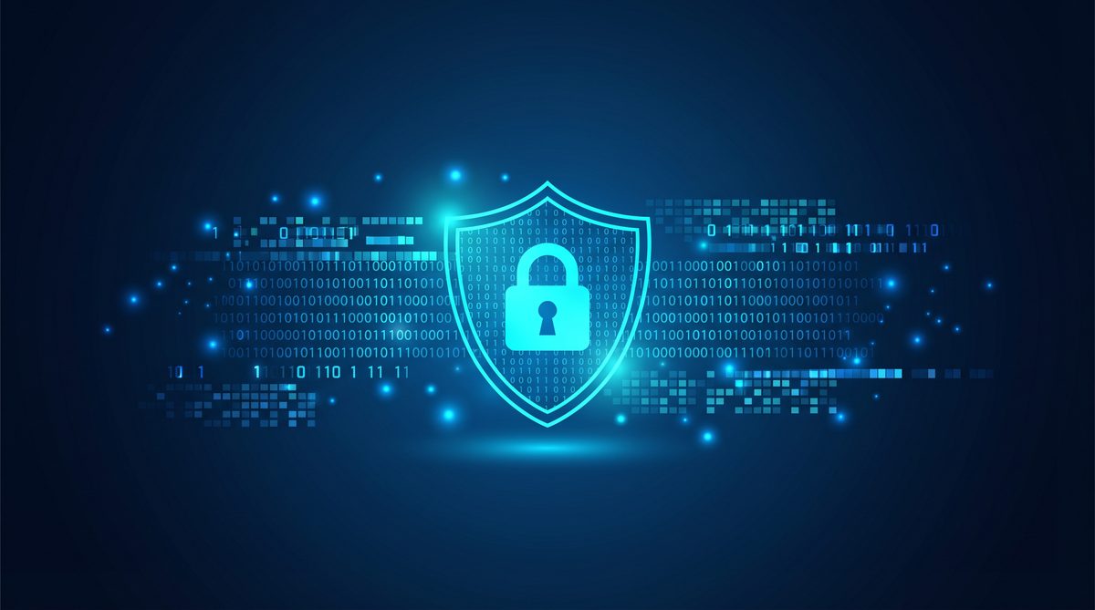 训鸟加速器隐私安全保护